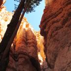 Bryce Canyon Amphitheater /   